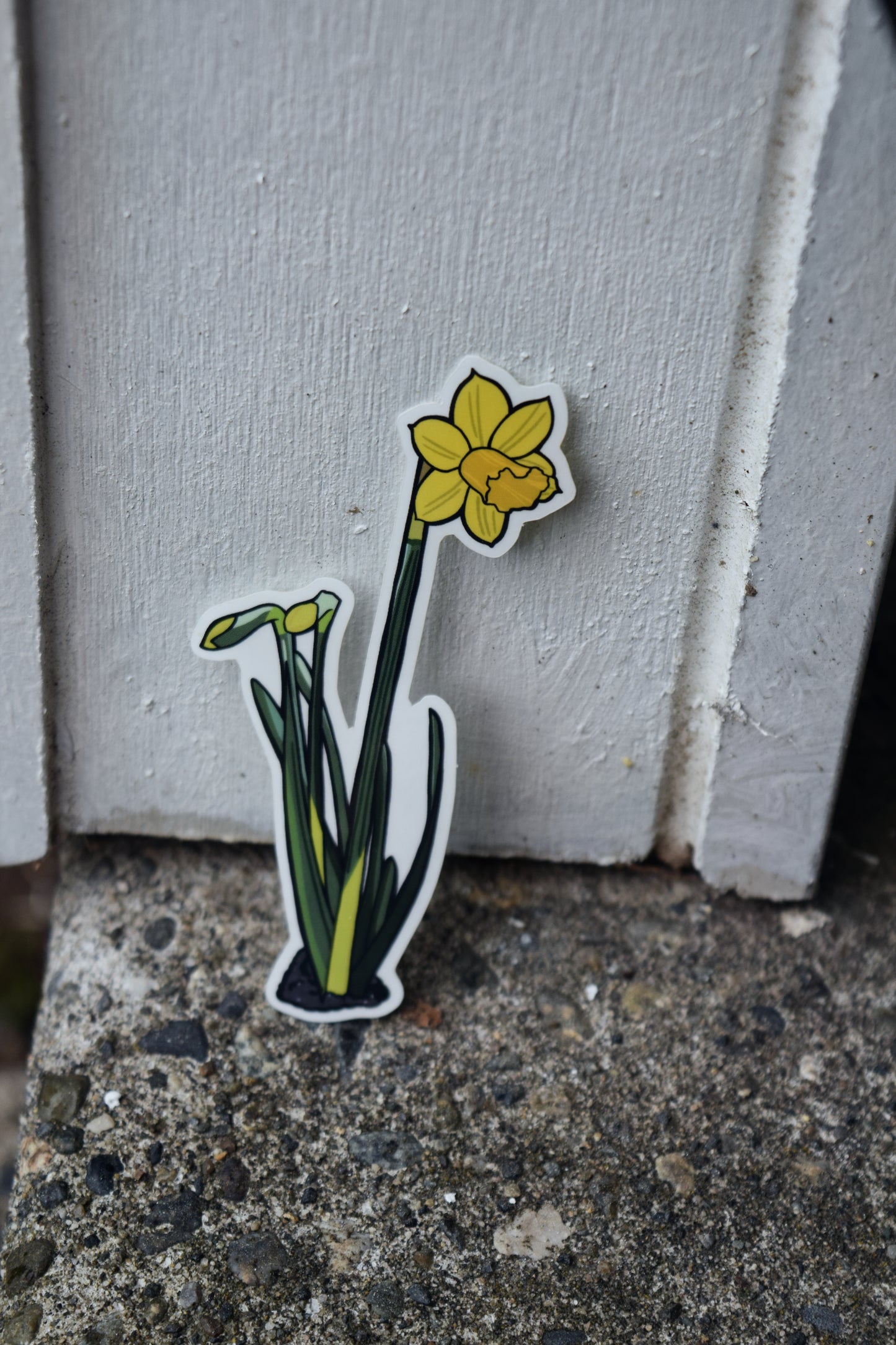 Daffodil Sticker