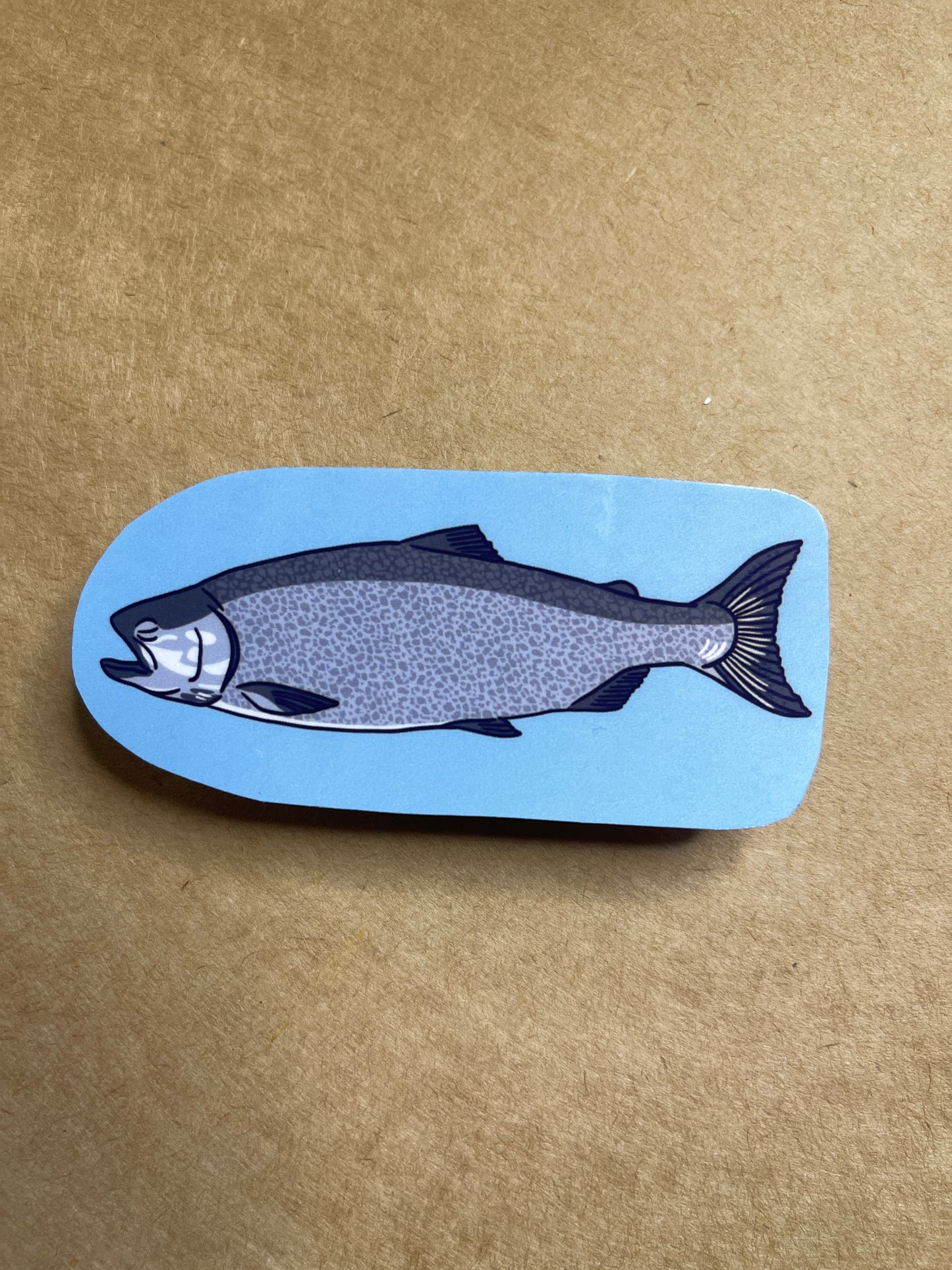 Salmon Sticker