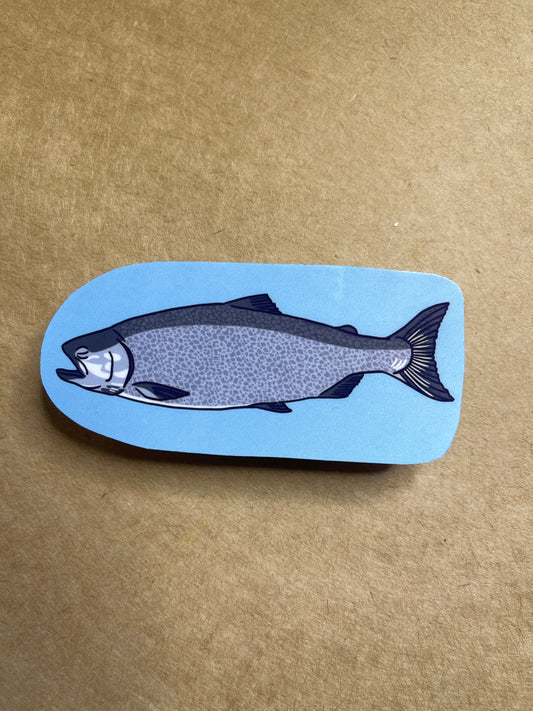 Salmon Sticker