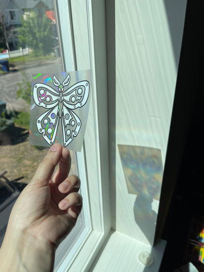 Moth Rainbow Window Cling